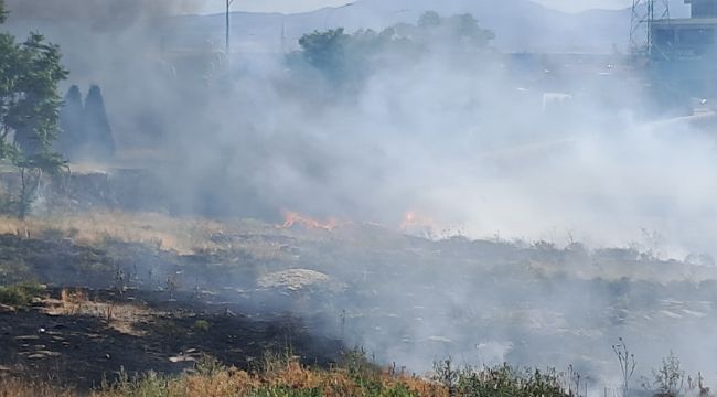 Karaman'da boş arazide çıkan yangın korkuttu 